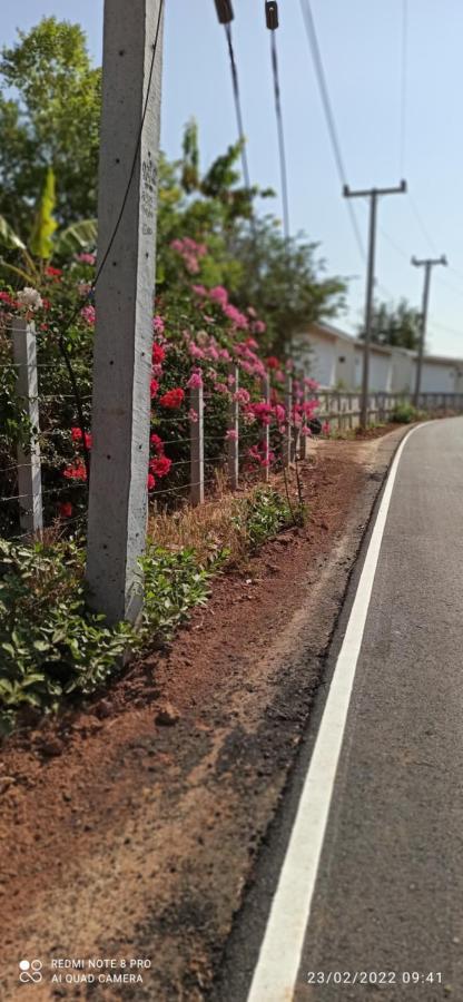 Homestay568 Branch 2 Muang Suang Extérieur photo